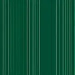 vertically striped green cape image